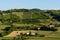 Castell\'Arquato vineyards view