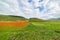 Castelluccio di Norcia highlands, Italy, blooming cultivated fields, tourist famous colourful flowering plain in the Apennines.