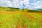 Castelluccio di Norcia highlands, Italy, blooming cultivated fields, tourist famous colourful flowering plain in the Apennines.