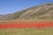 Castelluccio di Norcia / Poppies & Panorama