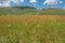 Castelluccio di Norcia in the Sibillini Park