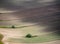 Castelluccio di Norcia, Umbria, Italy. Field detail, valley farming, abstract.