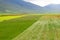 Castelluccio flowers hills