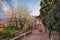 Castiglione d`Orcia, Siena, Tuscany, Italy: alley with tree and rosemary in bloom