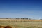 Castilian landscape with sheep