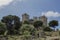 The castle of Almodovar del Rio, Cordoba