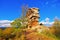 Castle Anebos in Palatinate Forest