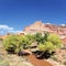 The castle, capitol reef