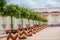 Castle gardens in front of Royal Castle in Warsaw, saxon facade Poland. Landscape design, park with shrubs and green lawns