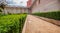 Castle gardens in front of Royal Castle in Warsaw, saxon facade Poland. Landscape design, park with shrubs and green lawns