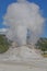 This is Castle Geyser erupting in the Upper Geyser Basin. This massive cone erupts scalding watering has a huge mineral formation.