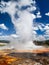 Castle Geyser and Steam