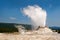 Castle geyser, Yellowstone national park