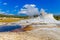 Castle Geyser, Yellowstone National Park (Upper Geyser Basin)