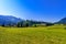 Castle of Gruyeres with green meadows, Haut-Intyamon, Gruyere, F