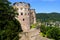 Castle Heidelberg