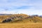 Castle Hill in Arthurs Pass, New Zealand