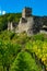 Castle Hinterhaus in Spitz Wachau Austria and vineyard