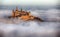 Castle Hohenzollern over the Clouds