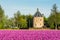 Castle Huys Dever with purplr field of tulips