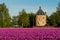 Castle Huys Dever with purplr field of tulips