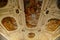 Castle interior, ceiling baroque stucco, bright frescoes, images of Roman gods, floral and natural ornaments, sculptures,