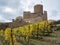 Castle of Kaysersberg - France