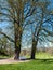 Castle park with oaks in Tiefurt near Weimar