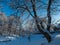 Castle park in snowy winter day, Kuldiga, Latvia