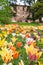 Castle of Pralormo, garden tulips in Piedmont, Italy