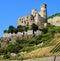 Castle Ruin on River Rhine