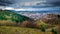 Castle ruin Schauenburg in Oberkirch