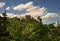 Castle ruins in Boskovice