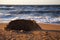 Castle in the sand against the sea.