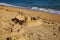 Castle in the sand against the sea.