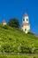 Castle Stainz and vineyard, Styria, Austria
