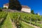 Castle Stainz and vineyard, Styria, Austria