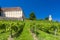 Castle Stainz and vineyard, Styria, Austria