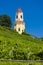 Castle Stainz and vineyard, Styria, Austria