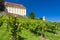 Castle Stainz and vineyard, Styria, Austria