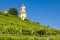 Castle Stainz and vineyard, Styria, Austria