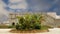 Castle Syracuse. Sicily, Italy. Frederick II Castle (Maniace Castle)- Unesco World Heritage Site