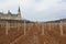 Castle and Vineyard in countryside