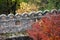 Castle Wall in Autumn