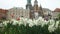 Castle of Wawel is one of the main travel attractions. Summer view of Wawel Castle complex in Krakow, Poland. It is the