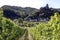 Castle and wine hills in Cochem, Germany