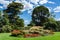 Castlemaine Botanical Gardens in Castlemaine, Victoria, Australia