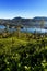 Castlereigh reservoir in sri lanka