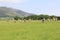 Castlerigg Stone Circle