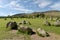 Castlerigg Stone Circle and Skiddaw,